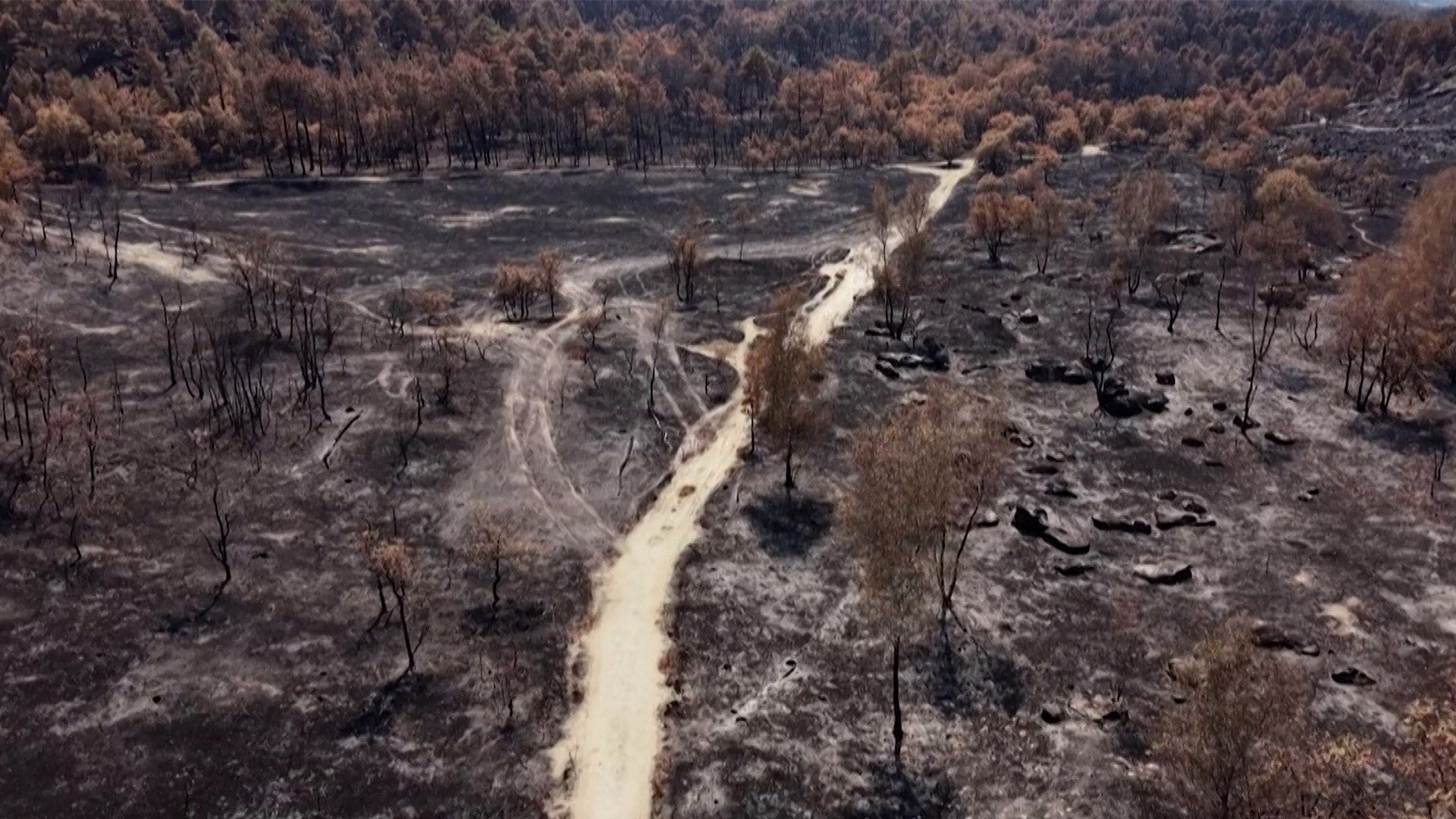 ‘First somewhat optimistic day’ in France since fire outbreak says prefect | Climate