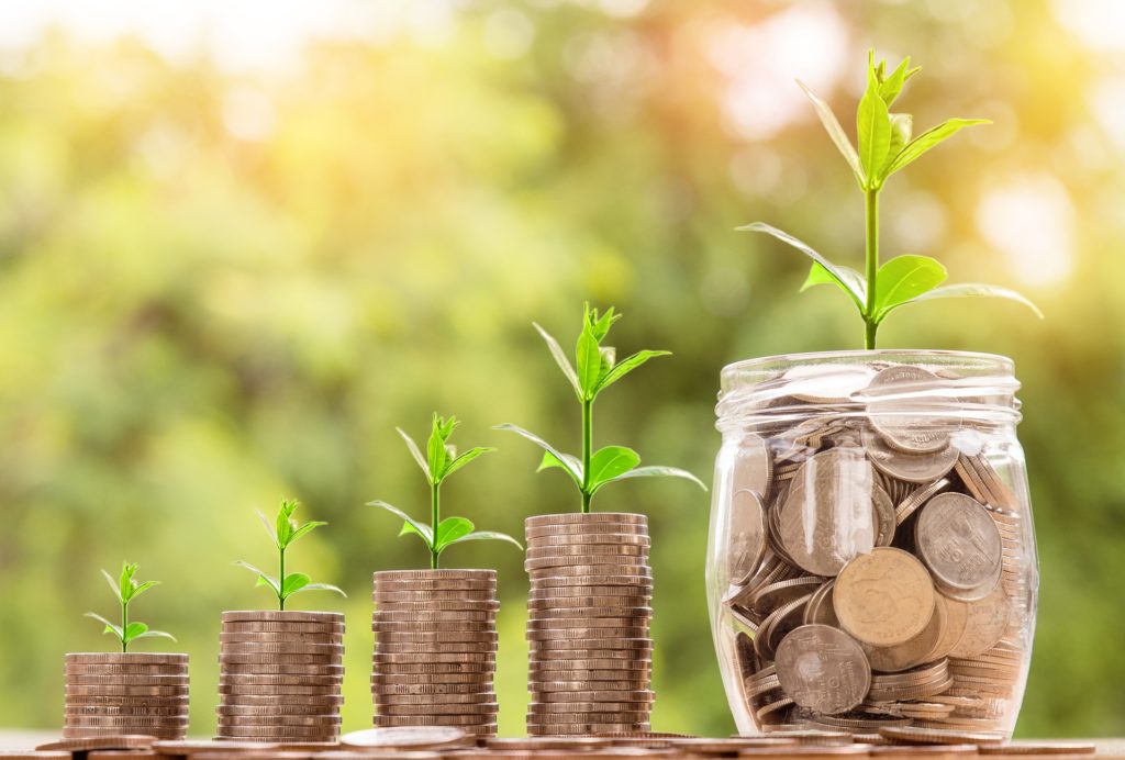 Forgotten 401(k) Accounts: How to Find Them, Roll Them Over, and Stop Bleeding Money